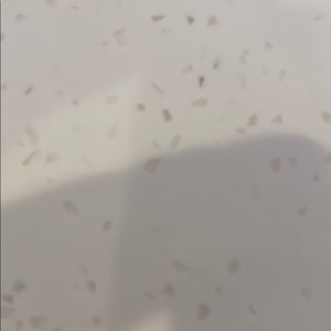 Meet your Posher, Brett